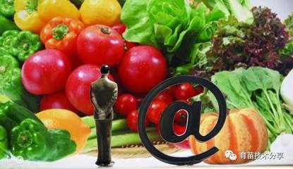 舌尖上的变革 食品互联网销售如何重塑新农业生态