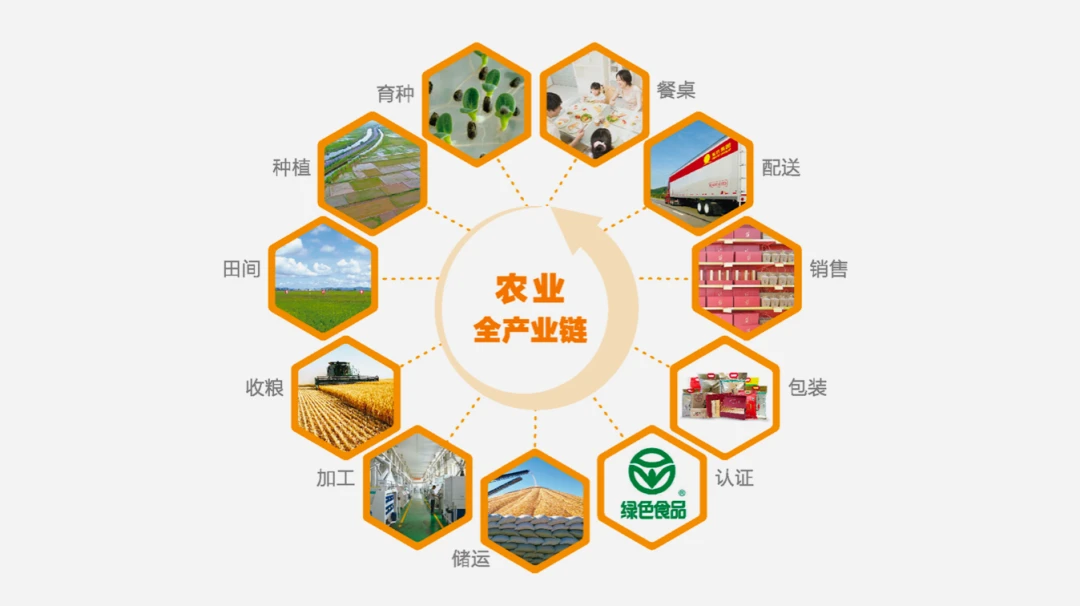 农业进入数字时代 农业产业互联网的探索与实践 食品互联网销售